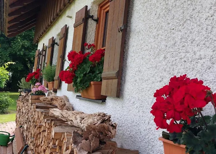 Wohlfühloase Nähe Gmunden 5min Zum Traunsee Haus Mit 2 Schlafzimmer